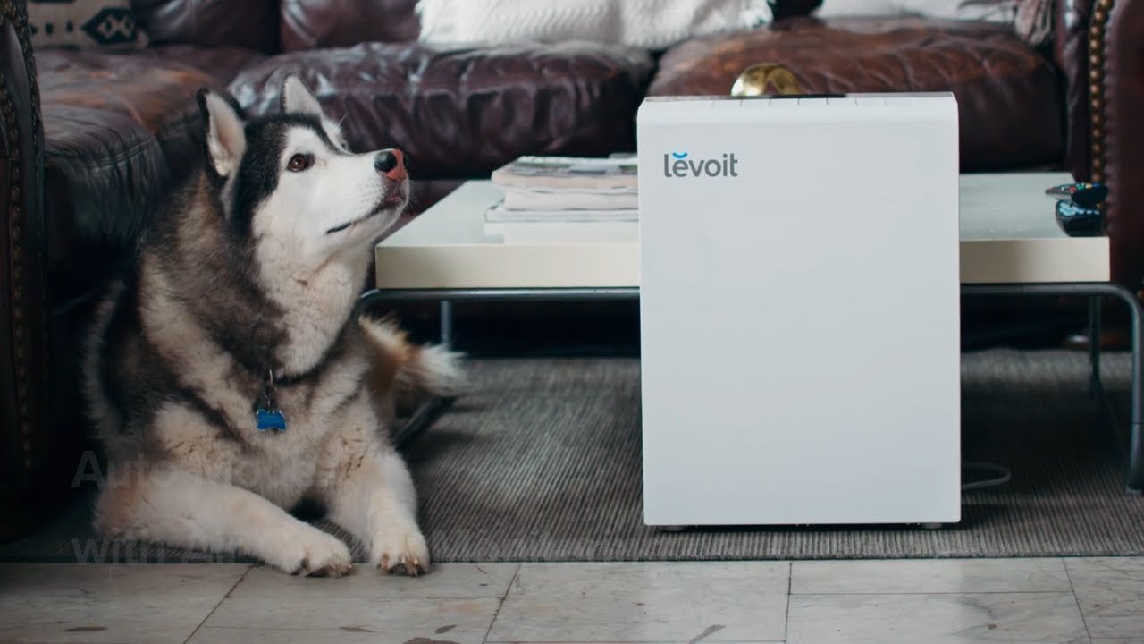 Очищувач повітря Levoit Smart Air Purifier LV-H131S-RXW + Extra filter White (HEAPAPLVSEU0031)