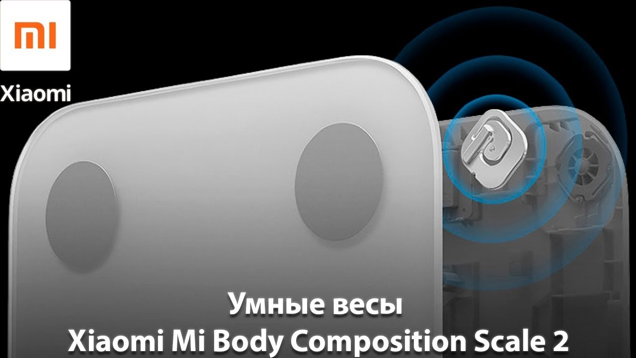 ᐉ Умные весы Xiaomi Mi Body Composition Scale 2 XMTZC05HM (NUN4048GL) •  цены и характеристики на WO • Купить в Киеве, Харькове, Днепре, Одессе,  Запорожье, Львове - Украина