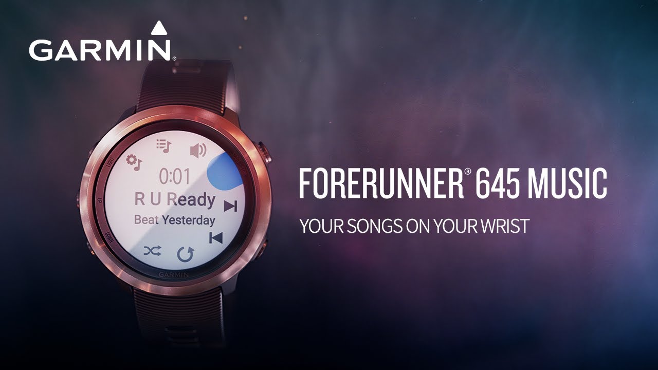 Спортивные часы GARMIN Forerunner 645 With Black Coloured Band